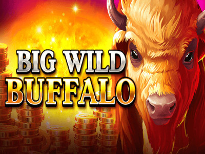 Sloterra Casino